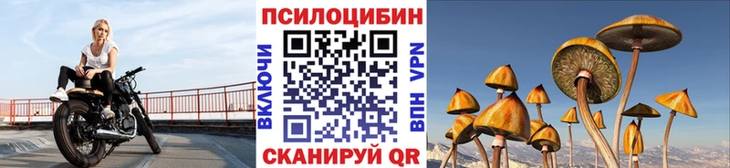 где продают наркотики  Балабаново  Галлюциногенные грибы мицелий 